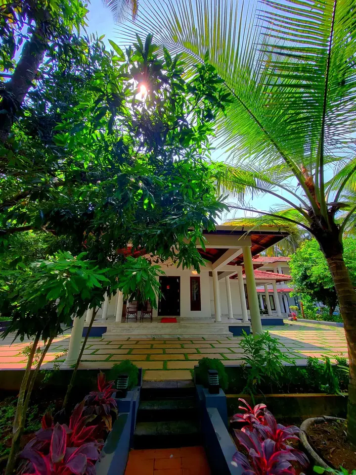 Courtyard under the palms
