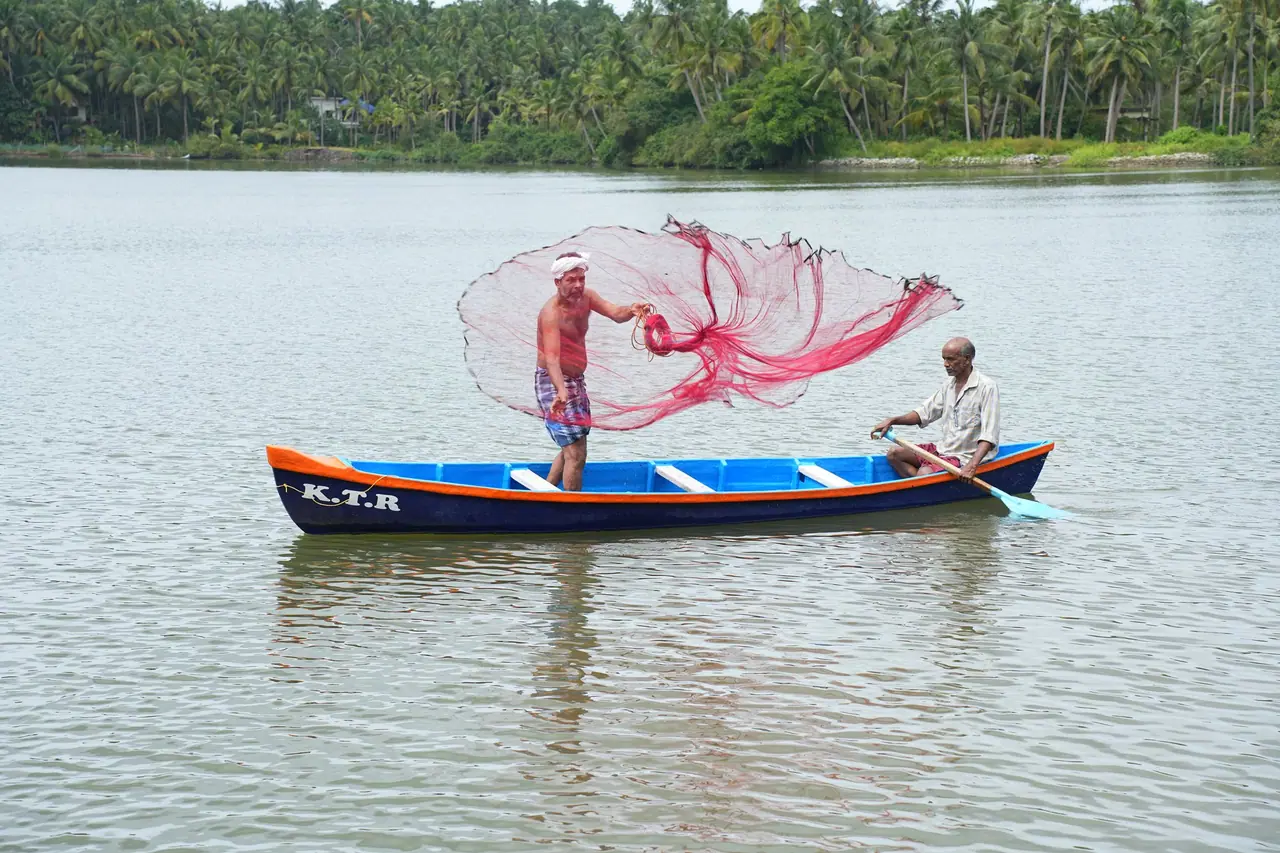 A fisherman casting his net from a country boat on the Korapuzha in front of BelleVue