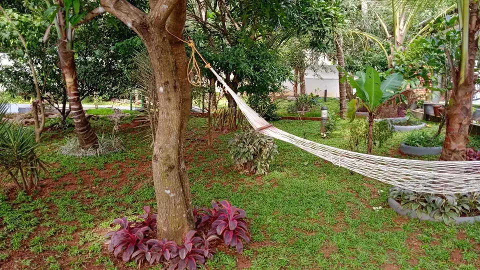 Fruit trees and lawn, BelleVue Riverside Villa, Kozhikode