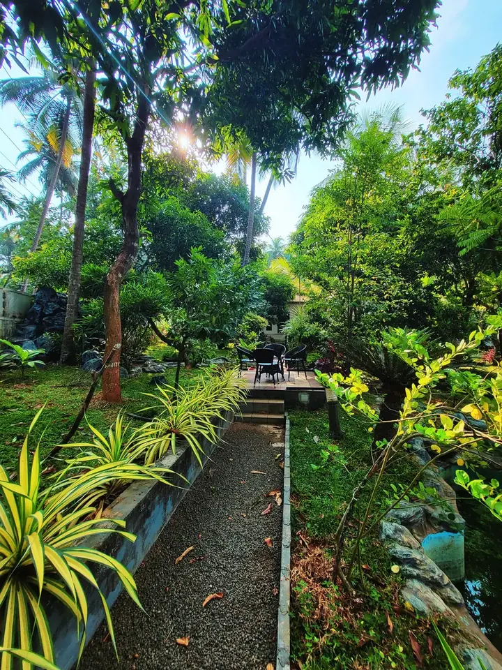 Garden path to the jetty
