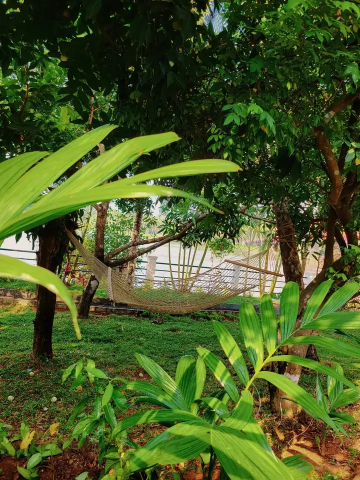 A glimpse of the river, BelleVue Riverside Villa, Kozhikode